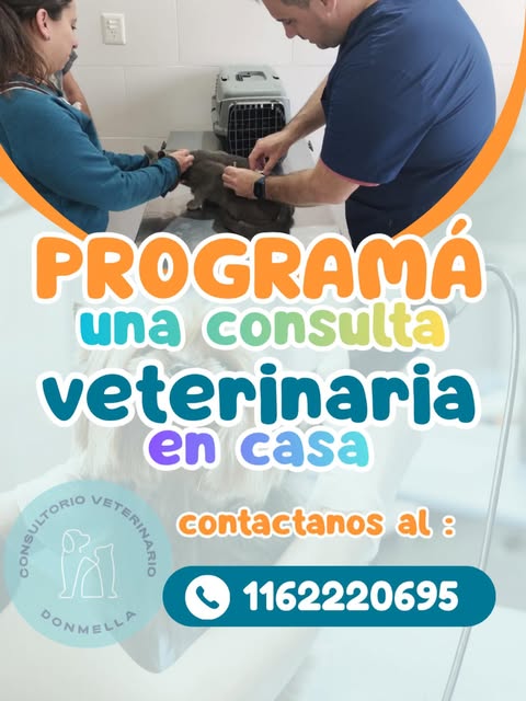Consulta veterinaria real en Donmella